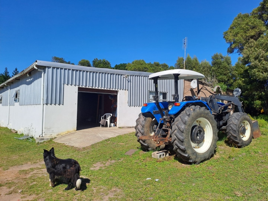 Commercial Property for Sale in Tsitsikamma Eastern Cape